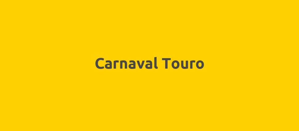 Carnaval Touro