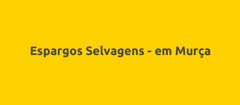 Espargos Selvagens - em Murça