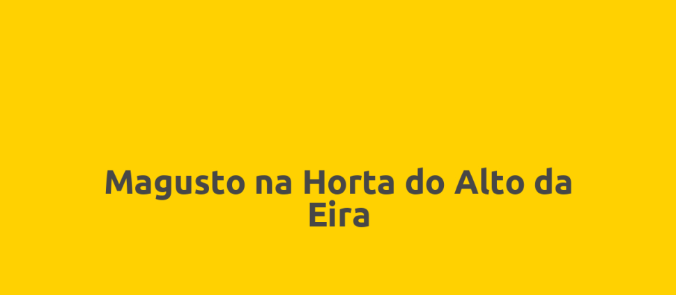 Magusto na Horta do Alto da Eira
