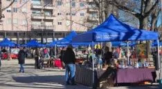 Feira de Antiguidades e Velharias na Praça Velásquez