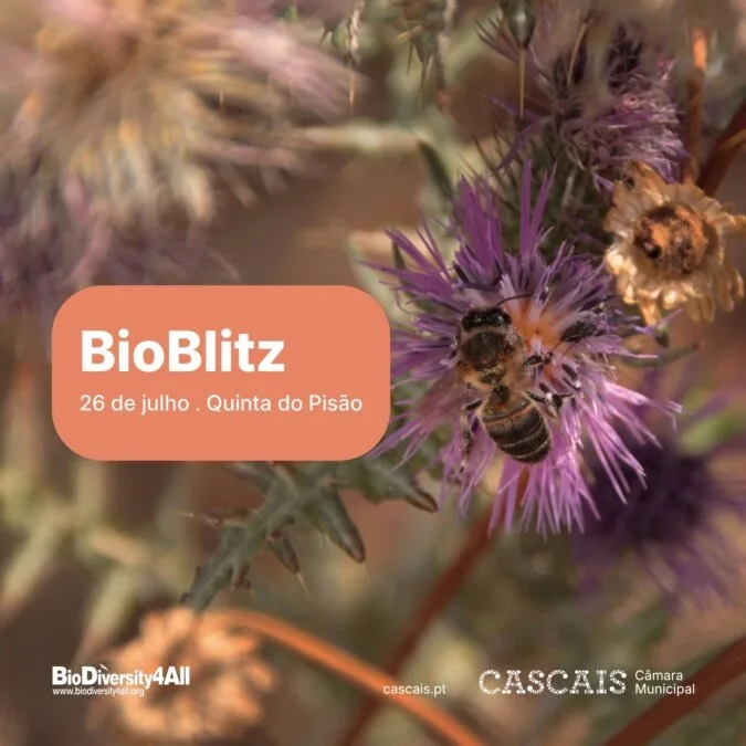 BioBlitz Quinta do Pisão