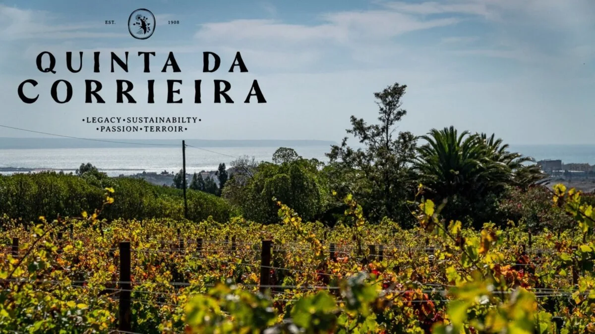 Descoberta Vinho de Carcavelos