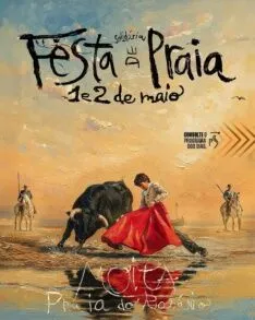 Festa Solidária de Praia