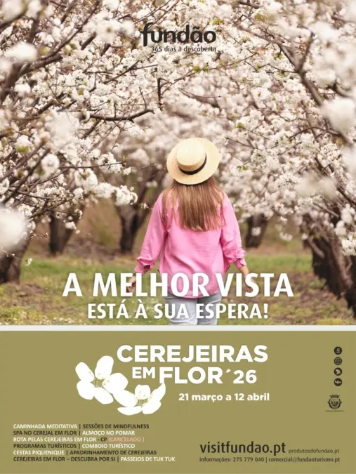 Cerejeiras em Flor
