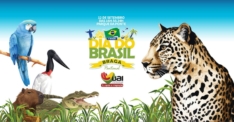 Dia do Brasil