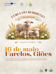 Feira do Borrego