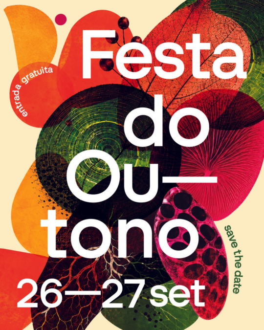Festa do Outono na Fundação de Serralves