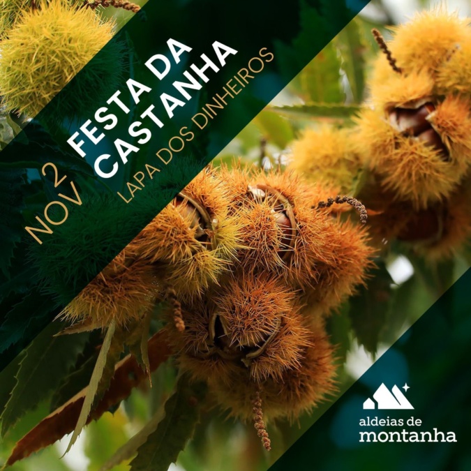 Festa da Castanha nos soutos da Lapa dos Dinheiros