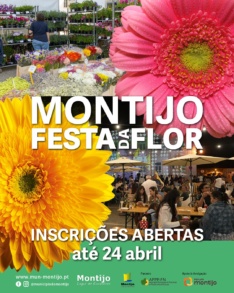 Festa da Flor
