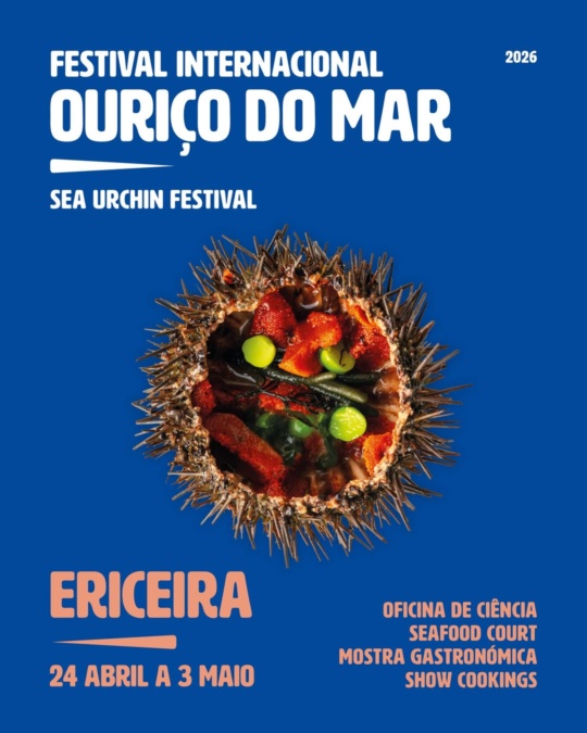 Festival Internacional Ouriço do Mar 2026