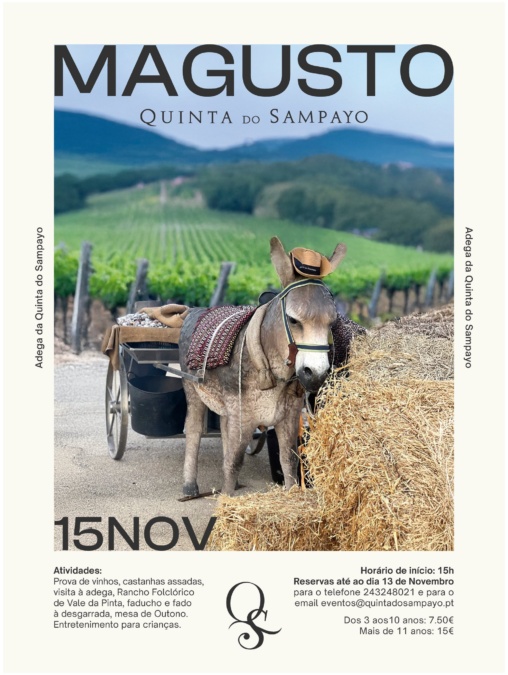 Magusto na Quinta do Sampayo