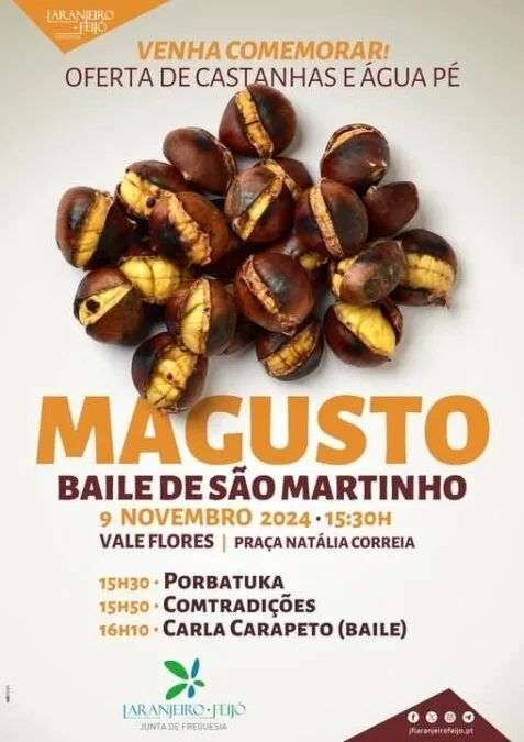 São Martinho em Vale Flores