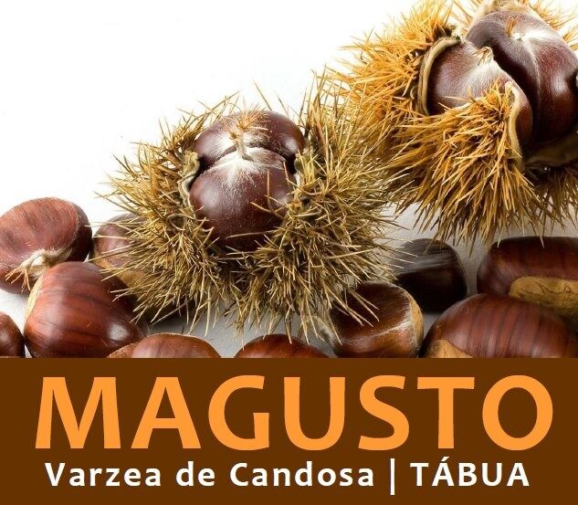 Magusto Varzea de Candosa