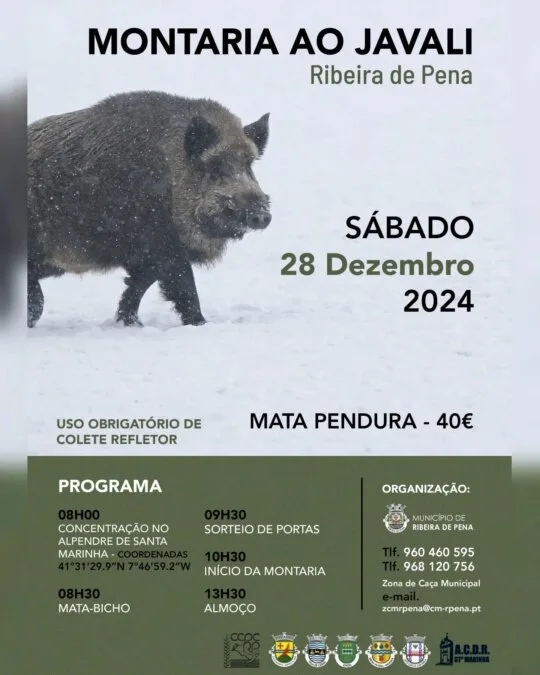 Montaria ao Javali