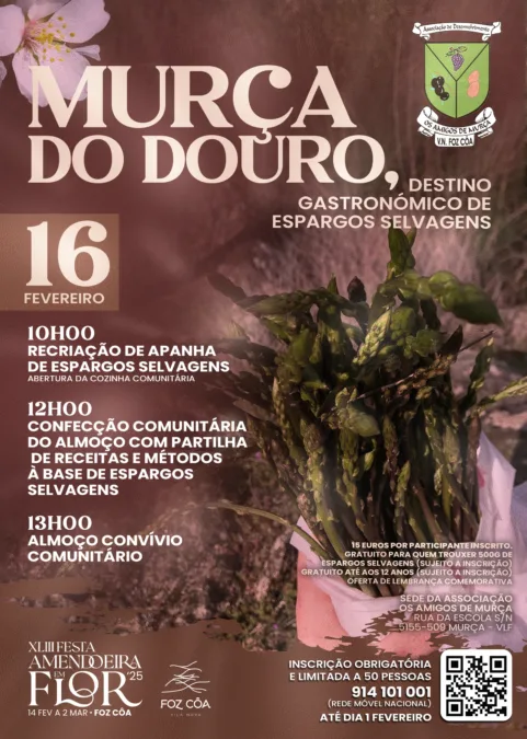 Espargos Selvagens – em Murça