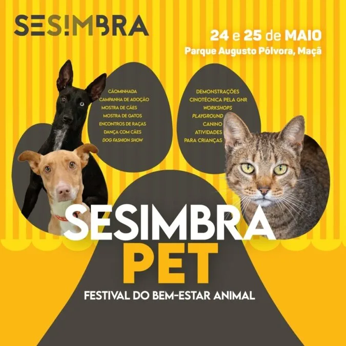 Sesimbra PET – Festival do Bem-Estar Animal