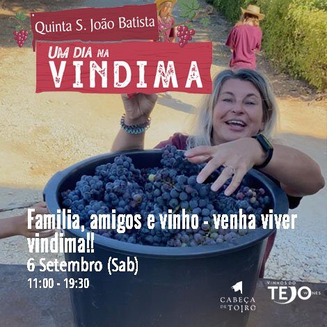 Um Dia Na Vindima