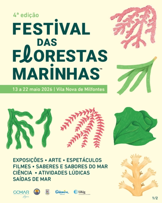 Festival das Flores Marinhas