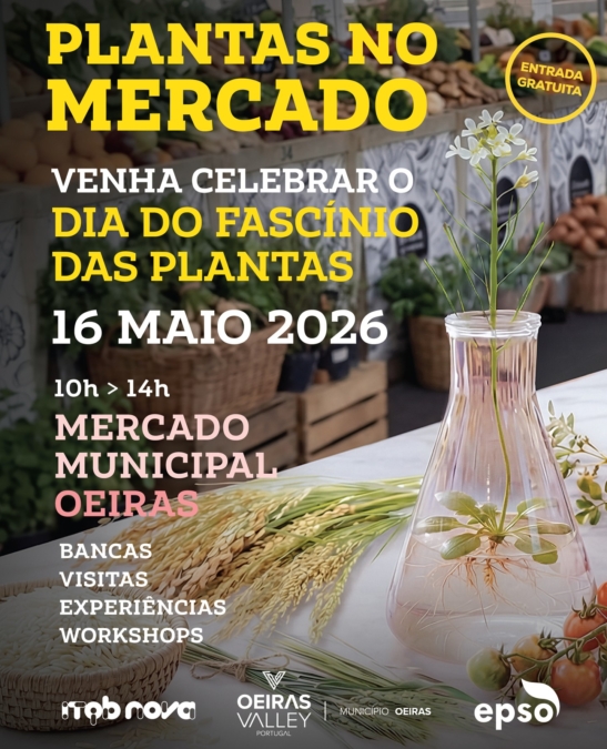 Plantas no Mercado