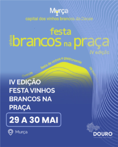 Vinhos Brancos na Praça