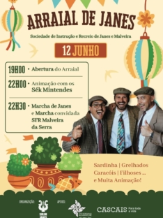Arraial de Janes