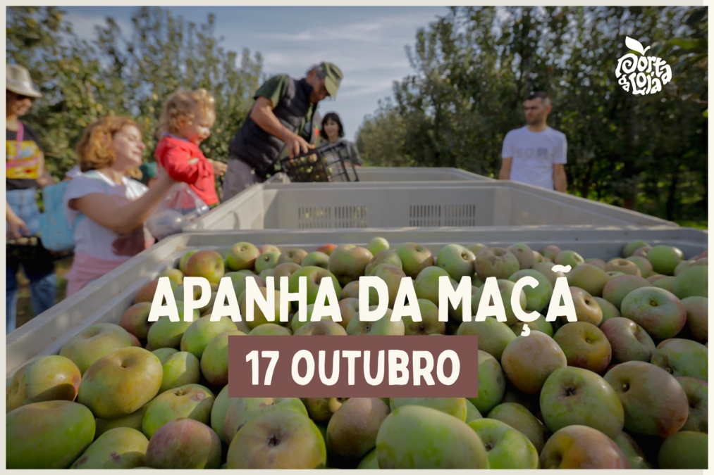 Experiência – Apanha da Maçã em Braga