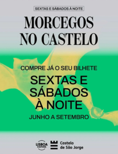 Morcegos no Castelo