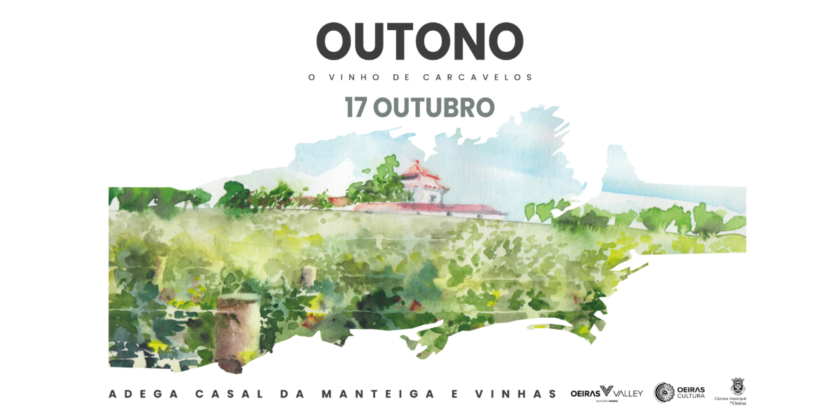 Ciclo de Oficinas de Desenho | 2.ª edição