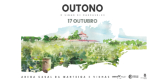 Ciclo de Oficinas de Desenho | 2.ª edição